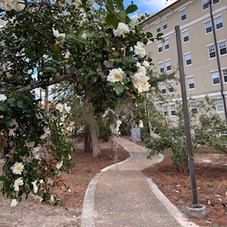 thumbnail_img_8394.jpg
