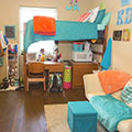 Thumbnail for slideshow item #4