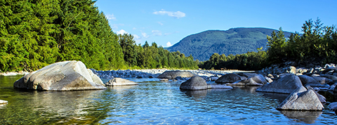 B.S. Degree with a Major in Environmental Geosciences (Geography option)