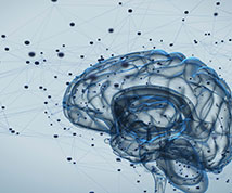 B.S. Degree with a Major in Psychology